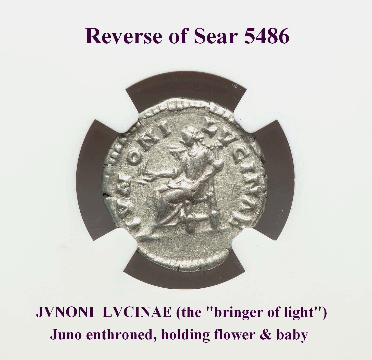 Sear 5486, rev..jpg
