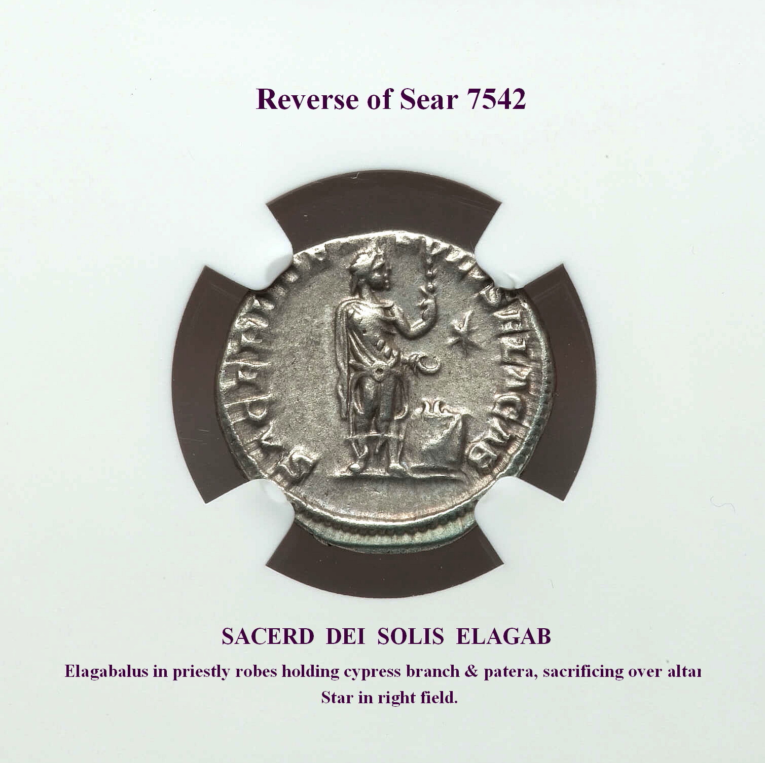 Sear 7542, rev..jpg