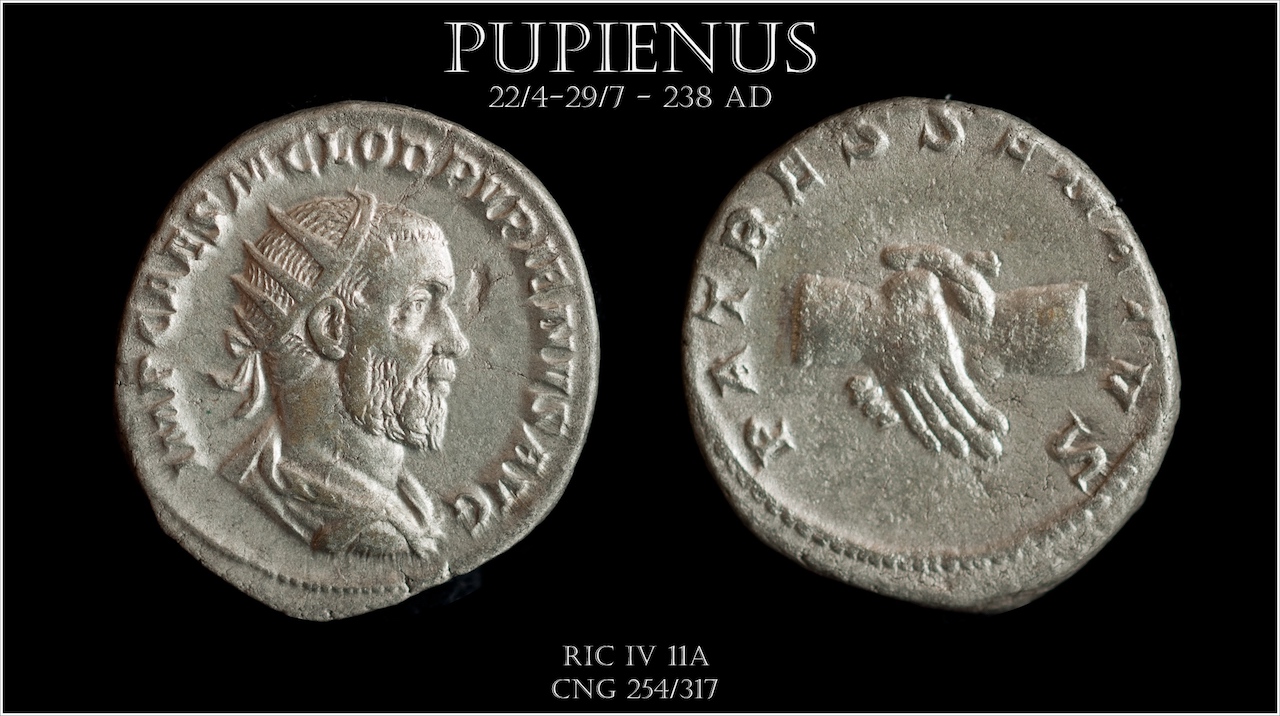 Sear 8521 Pupienus.jpg