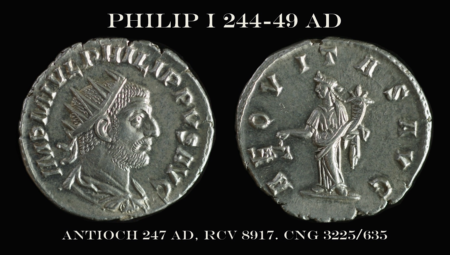 Sear 8917 Philip I.jpg