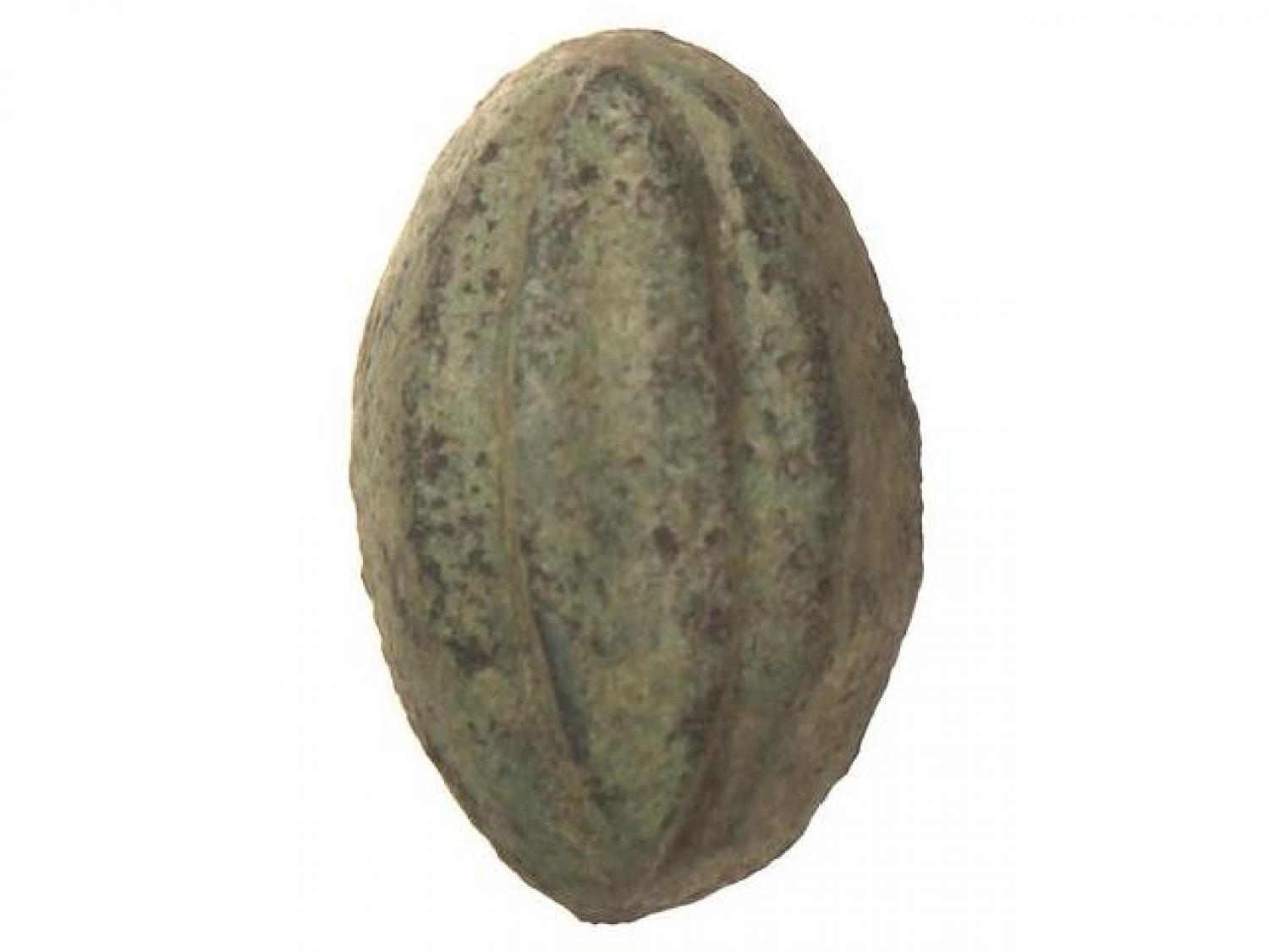 seed shaped oval MHSL 1096.2 lot 2460.jpg