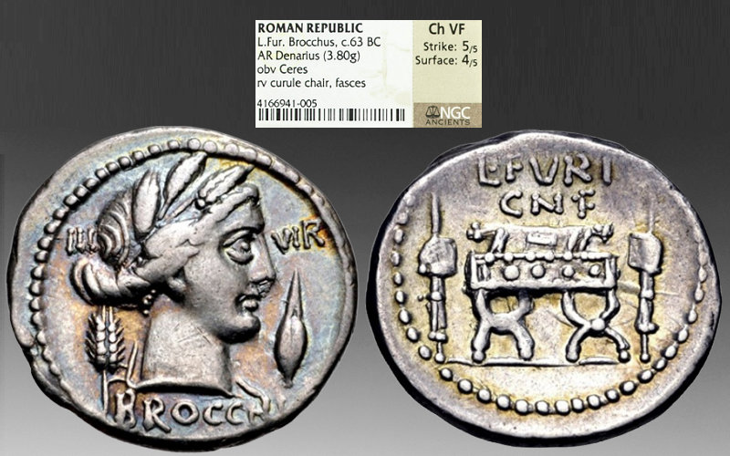 SEELzvZyRdK0XEUO0iil_LFBrocchus-label.png