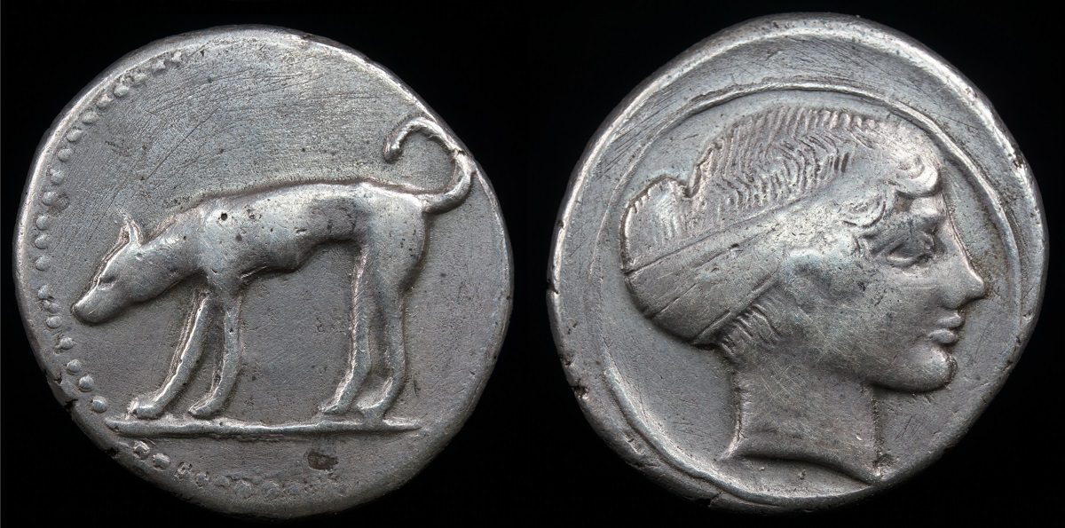 Segesta Didrachm 1a.jpg