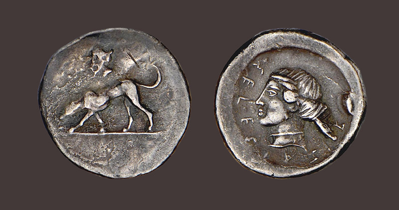 SegestaDidrachm.jpg