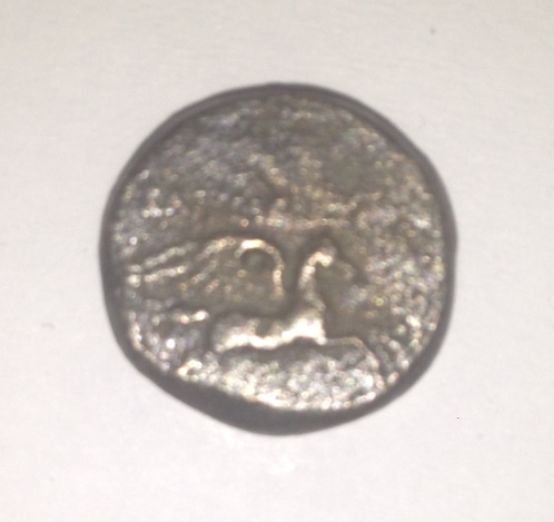 SeldPegasus.jpg
