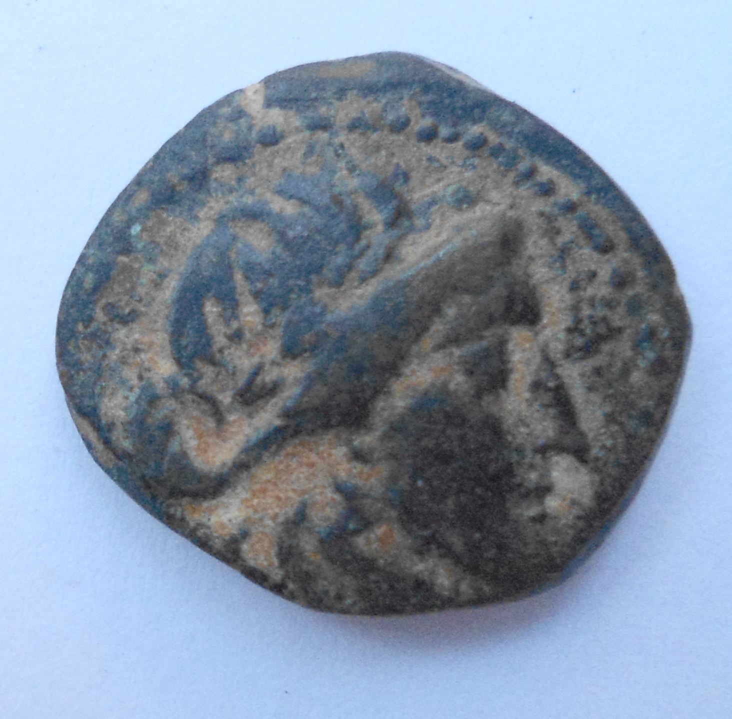 Seleuc2Apol         Sc 694.JPG