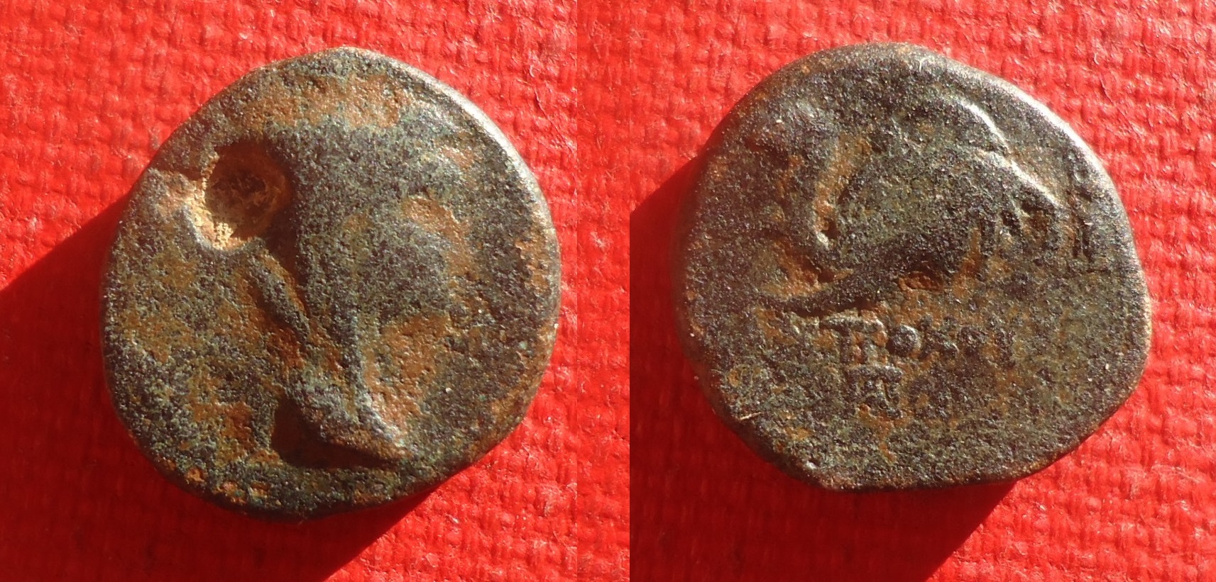 Seleucid - Antiochos IV elephant Dec. 2019 (0aa).jpg