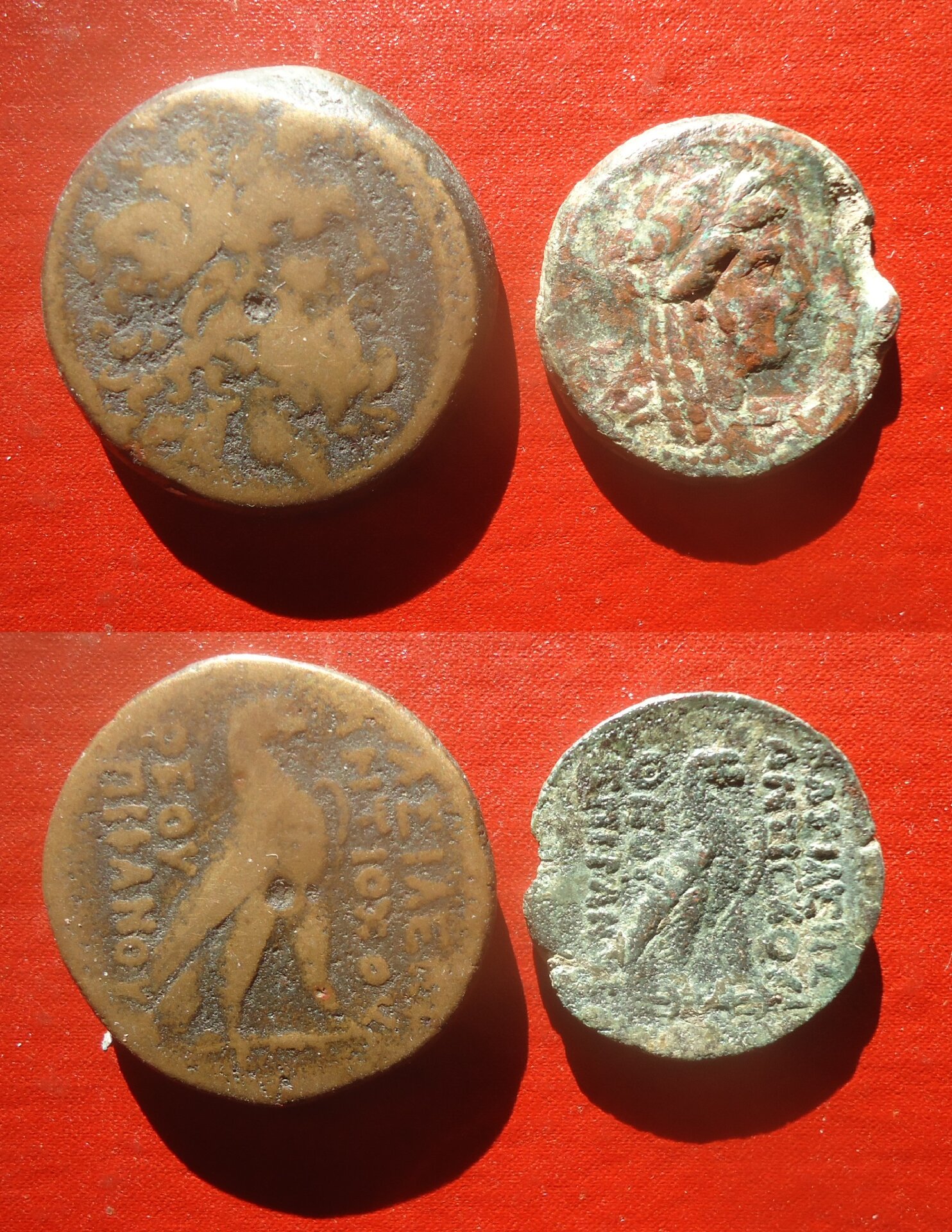 Seleucid - Antiochus IV Egypt 2018-2019 (0).jpg