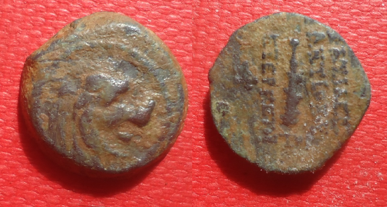Seleucid - Antiochus VIII lion club feb 2022 (0).jpg