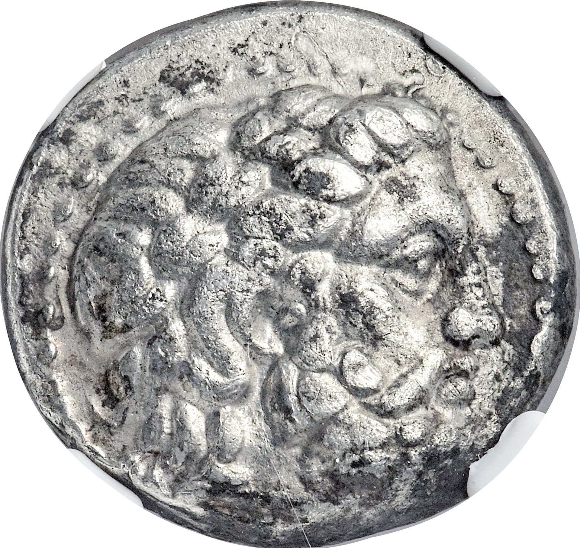 Seleucid AR Stater Obv.jpg