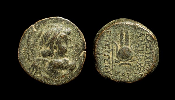 Seleucid Bronzes.jpg