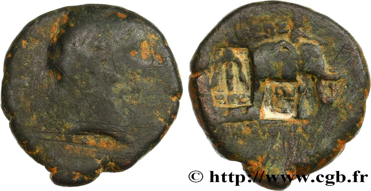 Seleucid Kingdom  ANTIOCHUS III THE GREAT elephant anchor cgb 9.25.18.jpg