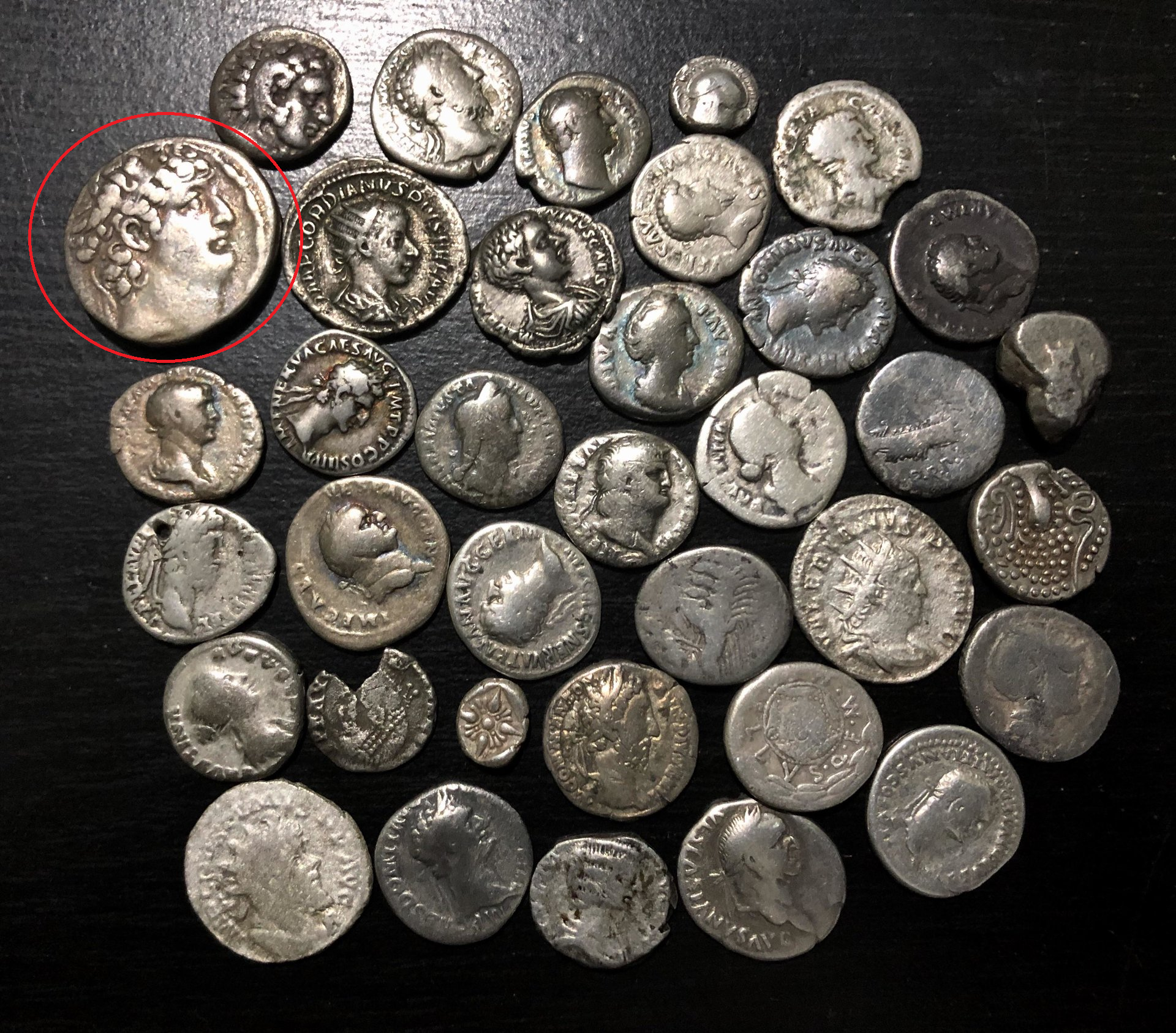 seleucid.png