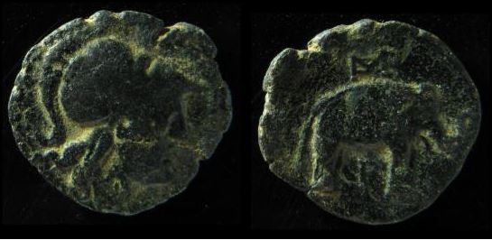 Seleucid Seleucus I 312-280 BCE AE 20 Athena-Elephant Spaer 129 Obv-Rev.JPG