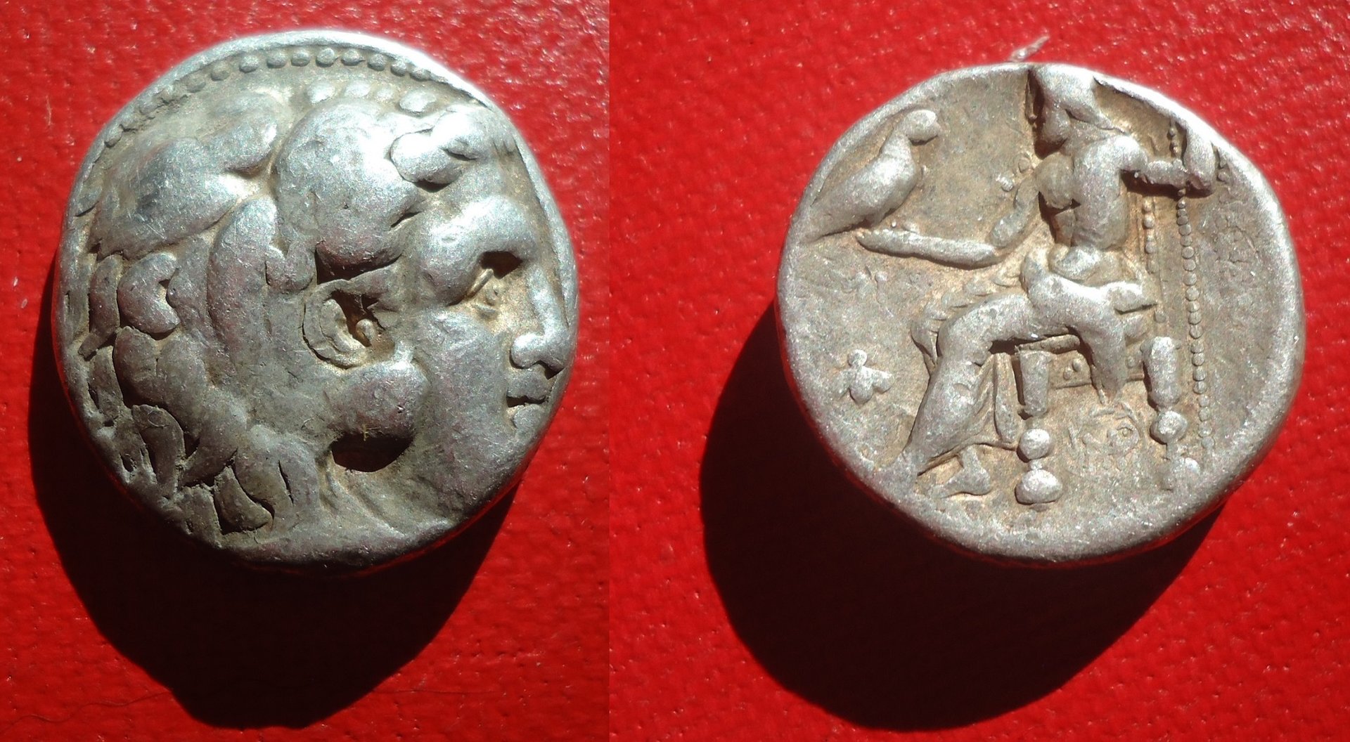 Seleucid Tet Jan 2019 (0a).jpg