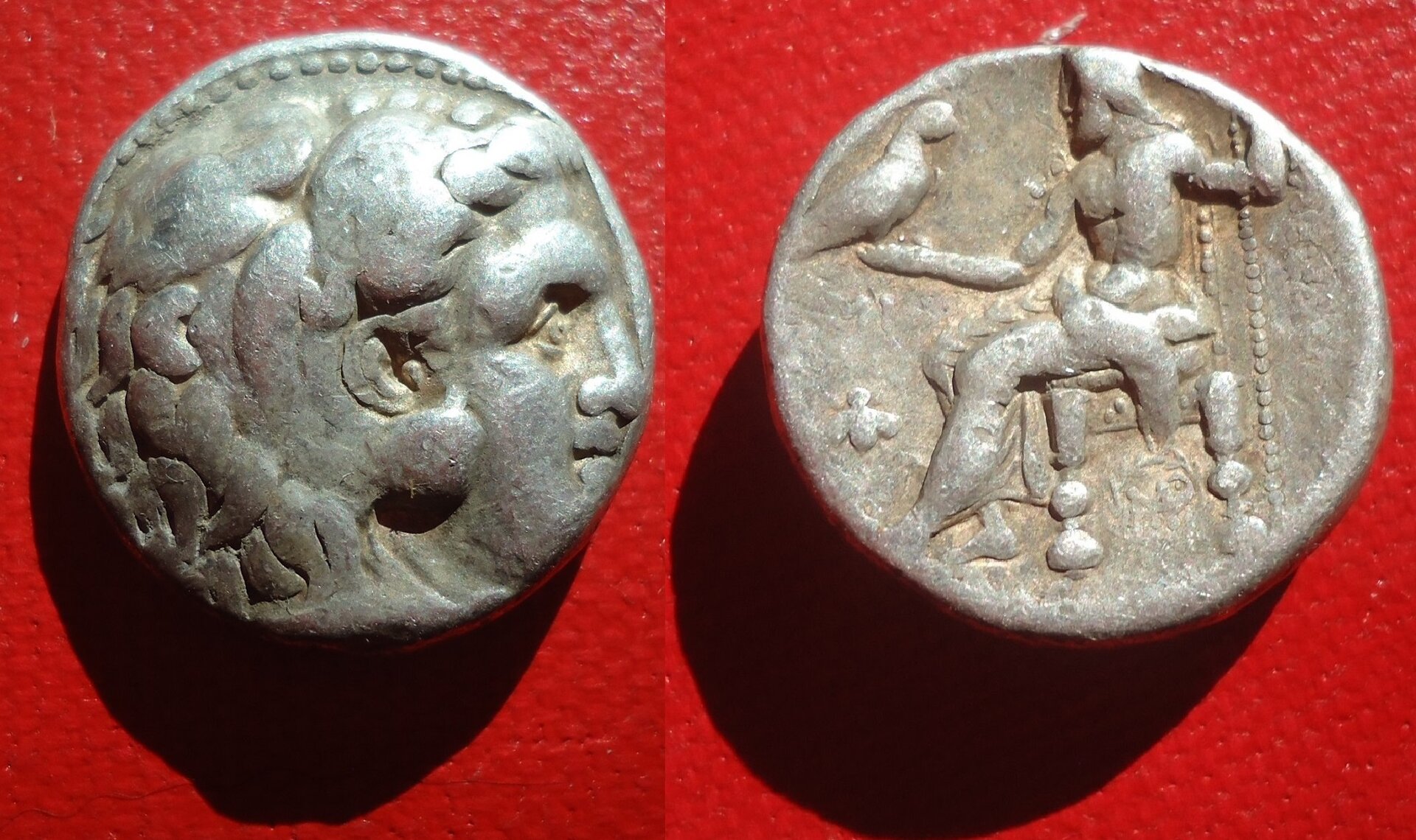 Seleucid Tet Jan 2019 (0a2).jpg