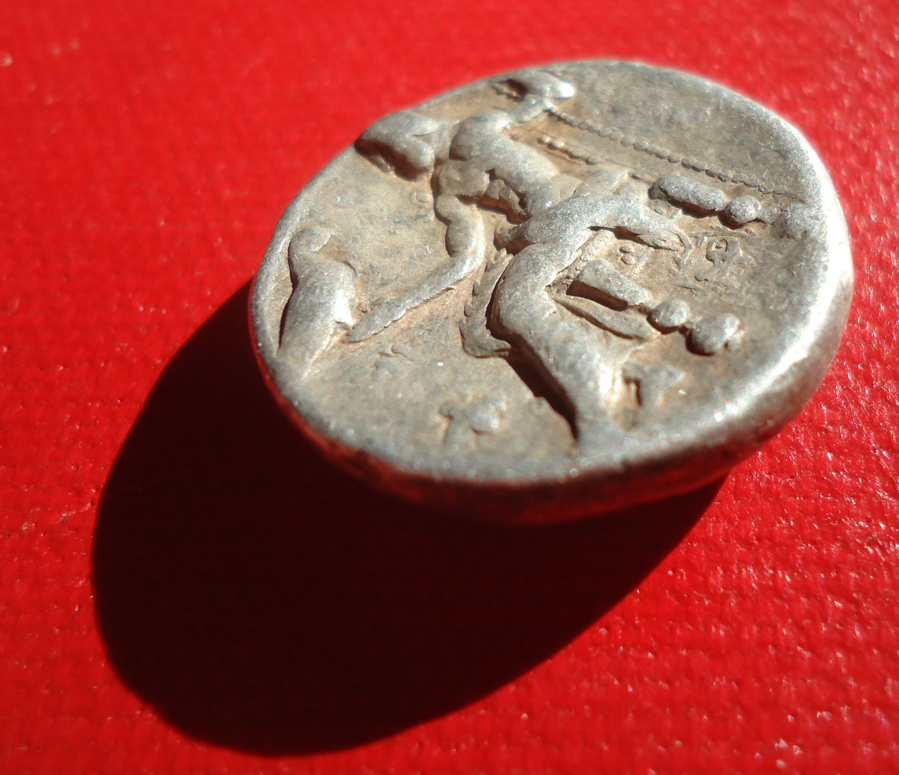 Seleucid Tet Jan 2019 (0xxxj).JPG
