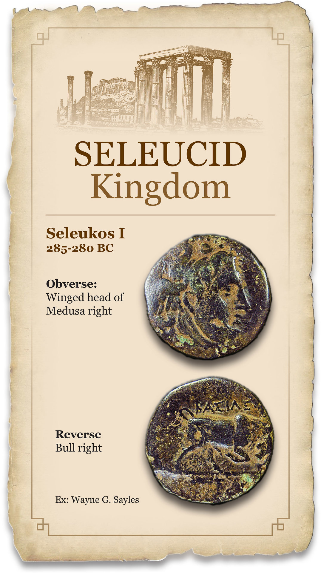 SELEUCID_WAYNE_SAYLES_1.jpg