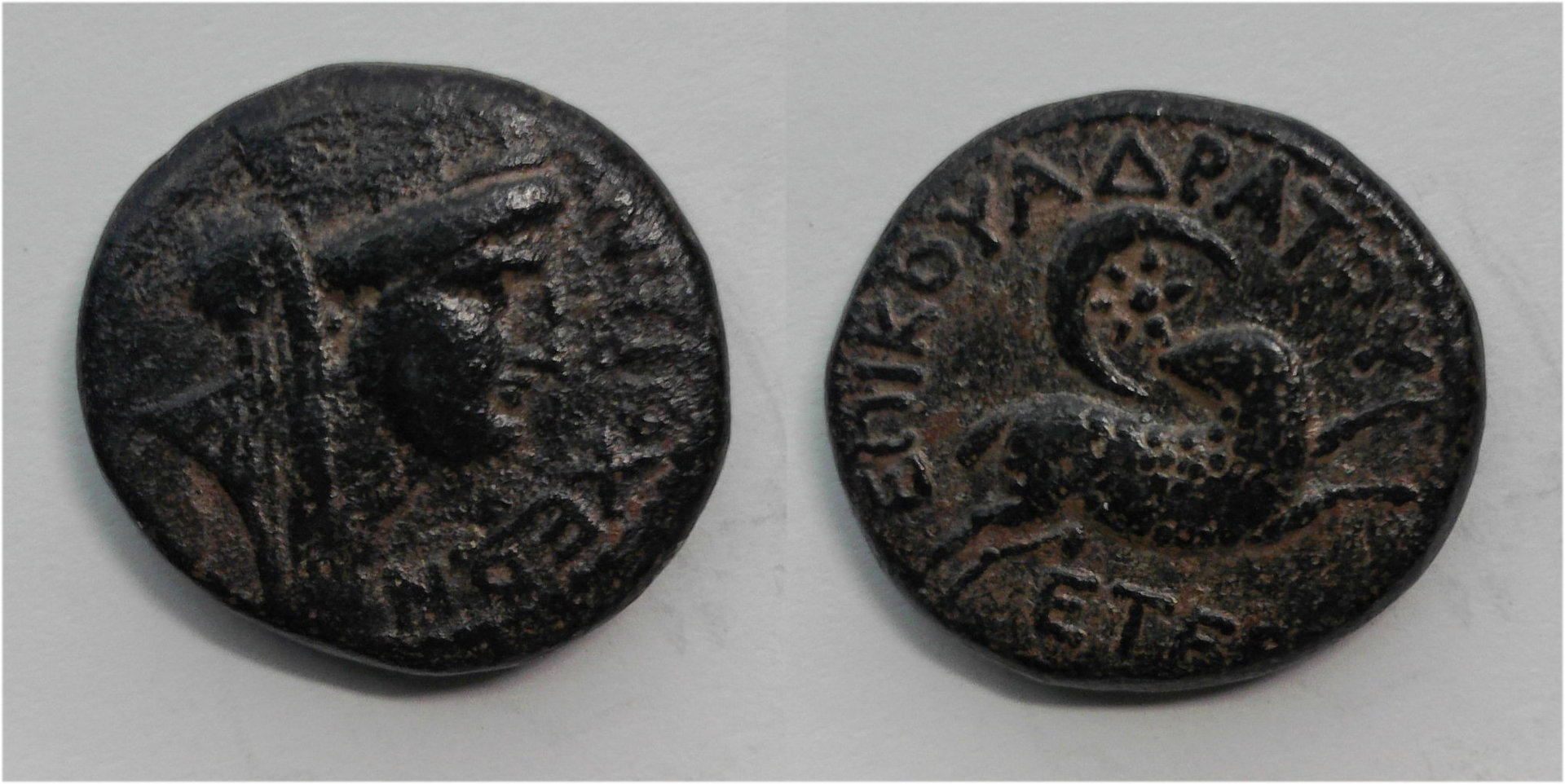 SELEUCIS PIERIA.jpg