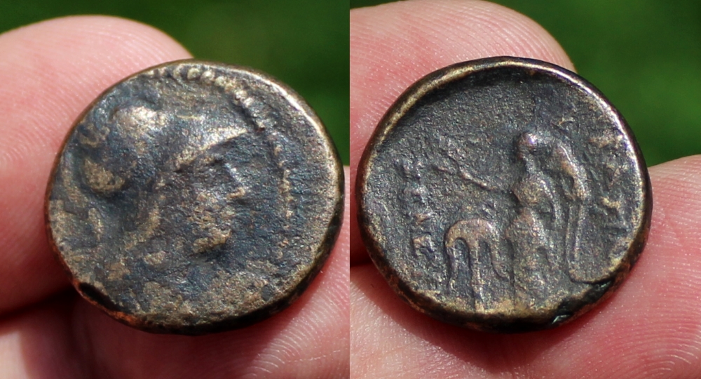 Seleucos II.jpg
