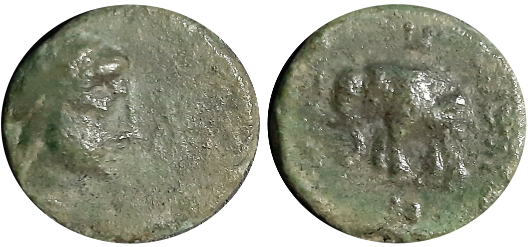 SELEUKID APOLLO ELEPHANT ANTICHOS III 223-187BC.png