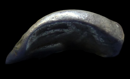 SELEUKID Seleukos I - Alexander Tetradrachm Bent Cut - side 3425.jpg