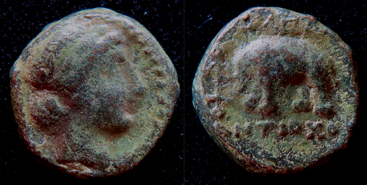 Seleukiden – Antiochos III der Große, AE, Apollo u. Elephant, SC I 979 (neues Foto).png