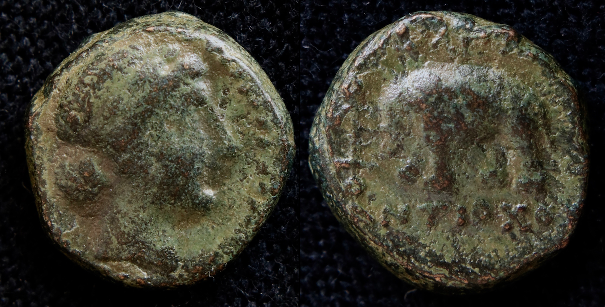 Seleukiden – Antiochos III der Große, AE, Apollo u. Elephant, SC I 979.png