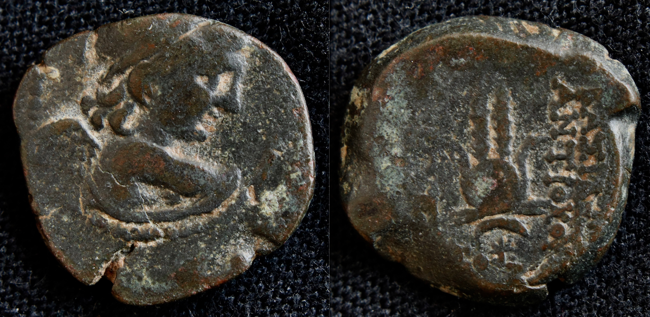 Seleukiden – Antiochos VII Evergetes, AE, Eros und Isiskrone, SC II 275–278..png