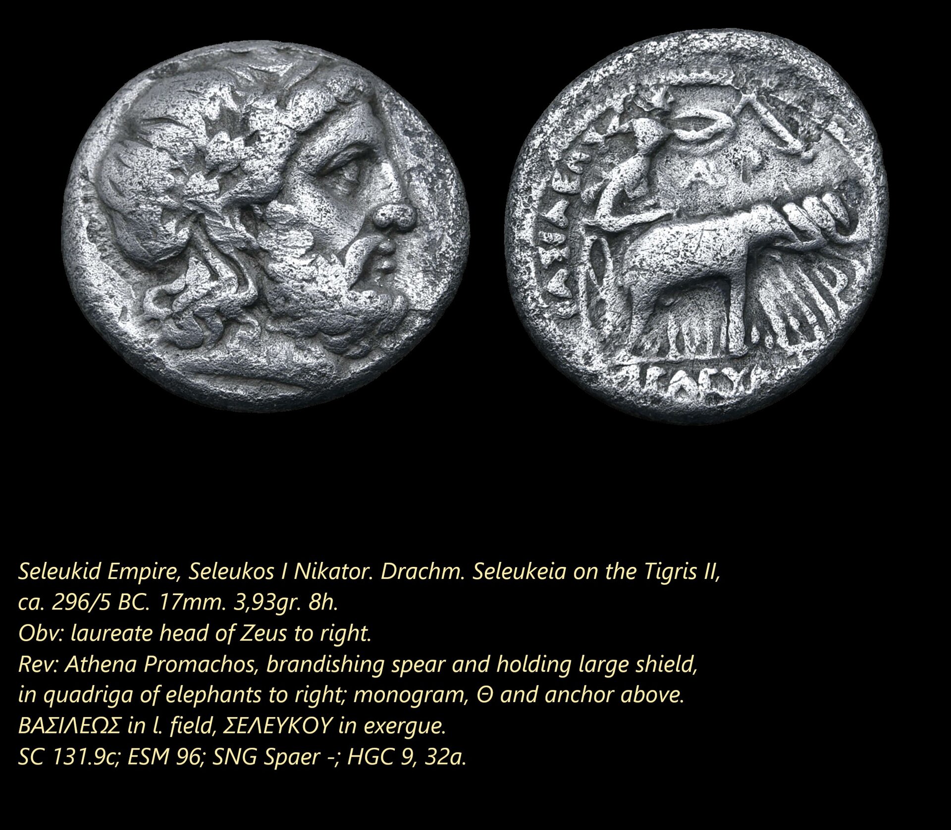 Seleukos I drachm, Seleukeia.jpg