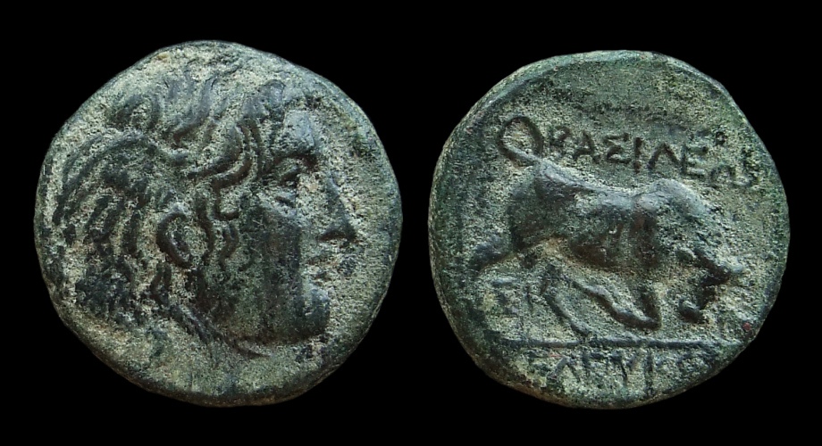 Seleukos I - Medusa Bull.jpg