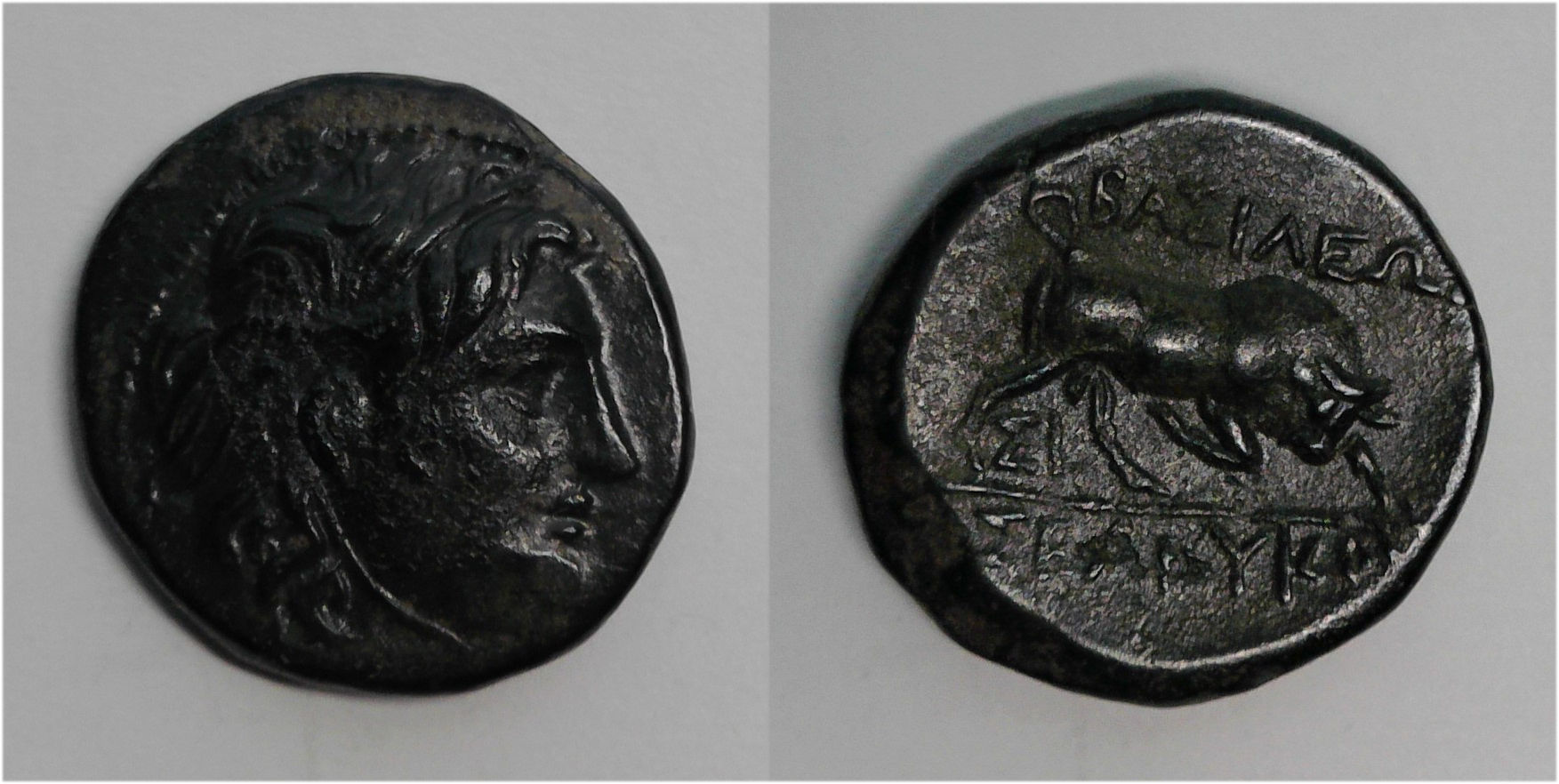 Seleukos I Nikator.jpg