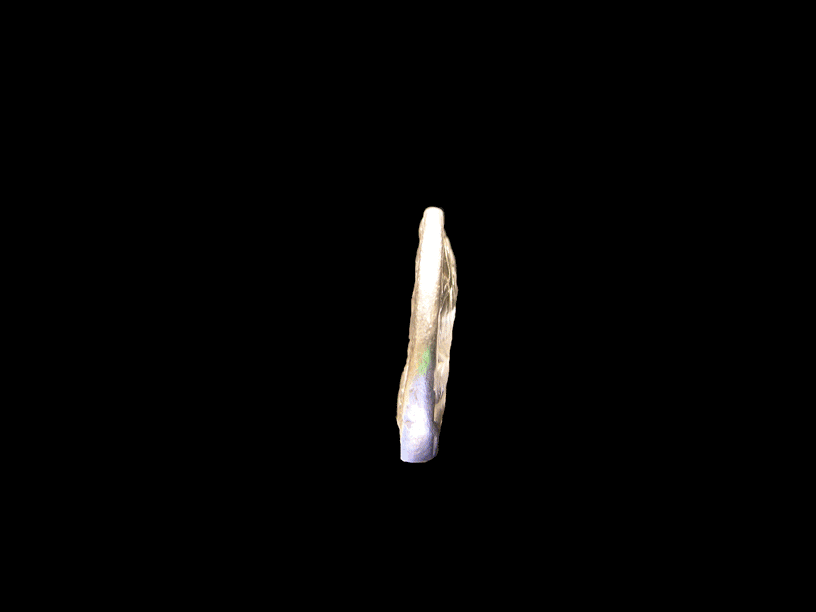seleukos_iii.gif