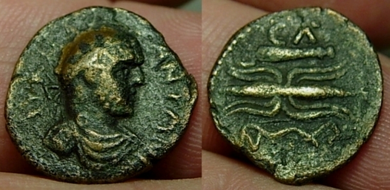 SelgeCaracalla.jpg