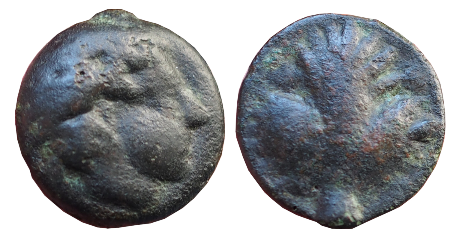 Selinos Ae2.JPG