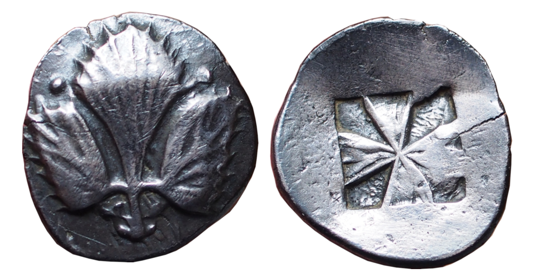 Selinos didrachm1.JPG