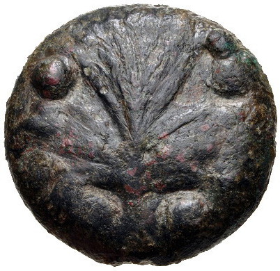 Selinos Tetras b.jpg