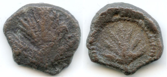 selinus-litra-both.jpg