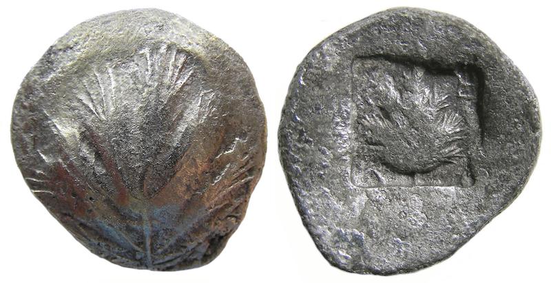 SelinusdidrS116s800.jpeg