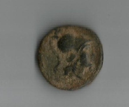 Selk2Athena.jpg