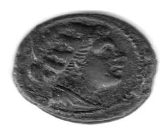 semiunica SR619.png
