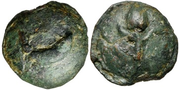 Semuncia Crescent Thyrsus Elsen 6.4.2021 a.jpg
