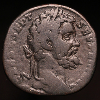 SepimiusSeverusSest339O1_edited-1.jpg