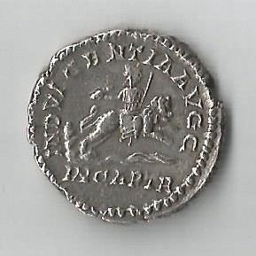 SepLion R 001.jpg