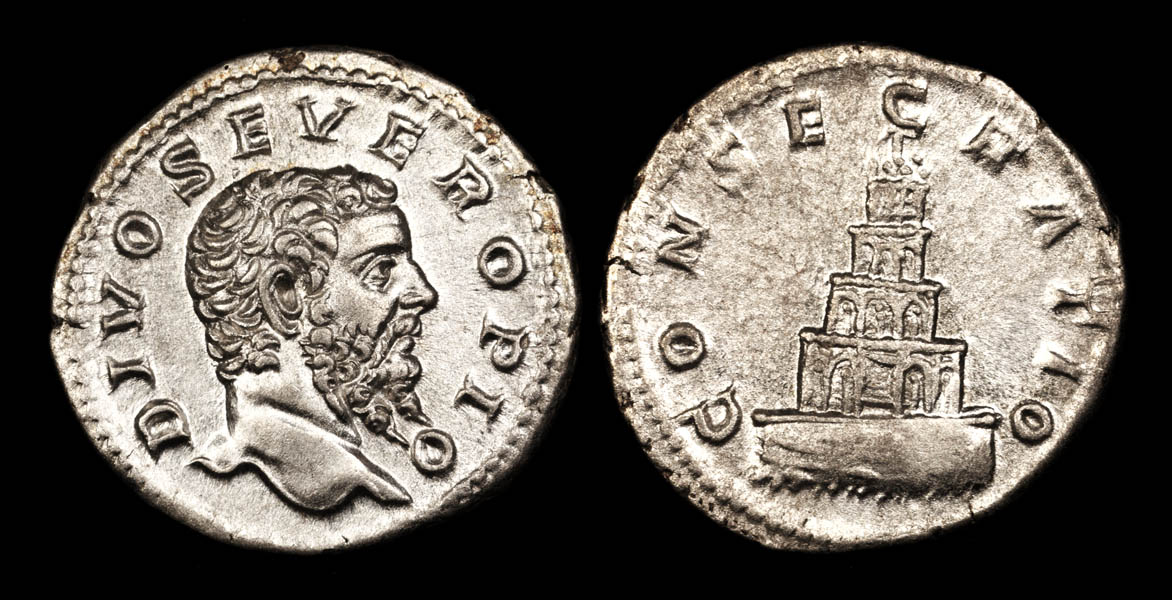 sepsev01-aah102-sm.jpg