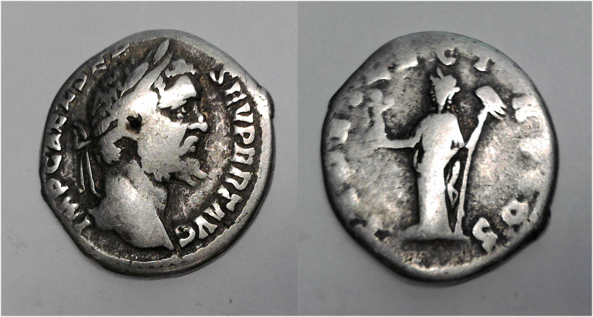 Sept Sev 193.jpg
