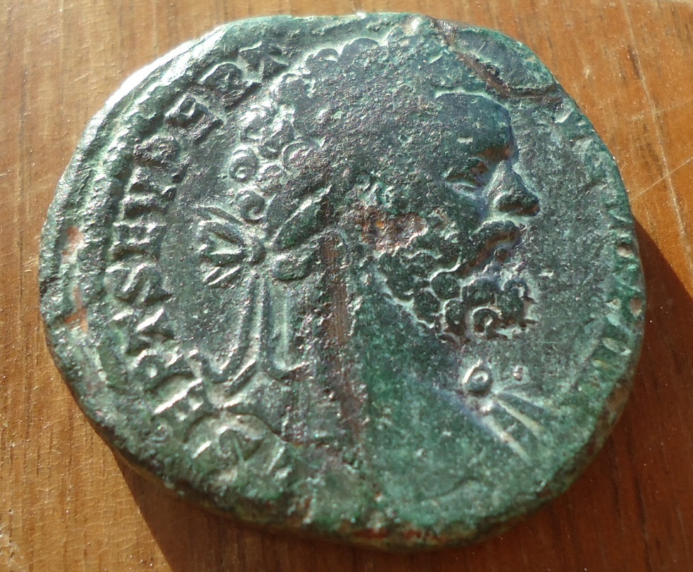 Sept Sev Sest ANNONA Nov 17 (3).JPG