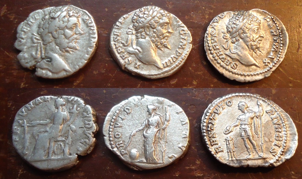 Sept Severus Aug 2017 (3).JPG