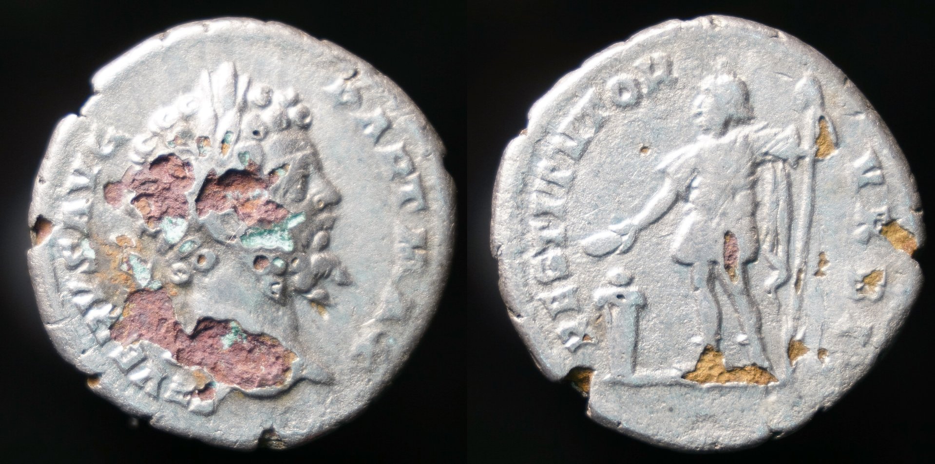 Sept Severus Fourree 1.JPG