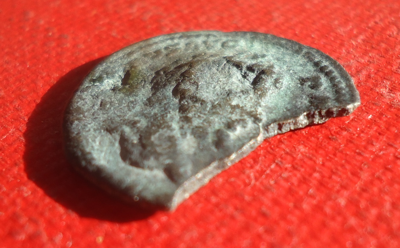Sept Severus - Limes Den lot Sep 2019 (0 edge).jpg